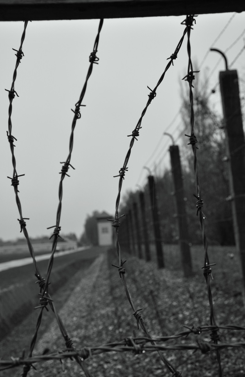 Il Racconto Di Una Visita Al Campo Di Concentramento Di Dachau Vidas